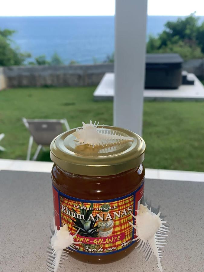 Studio Cozy Melissa Elegance - Guadeloupe , Le Gosier , Dampierre - Avec Pleine Vue Mer - Ocean A 180 Degres Ngoại thất bức ảnh